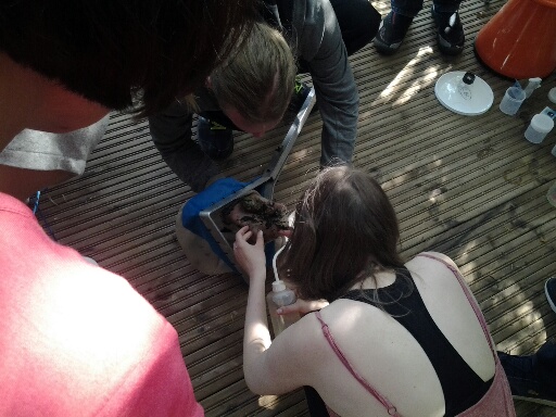 20160601_165141_resized